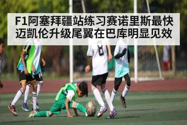 F1阿塞拜疆站练习赛诺里斯最快 迈凯伦升级尾翼在巴库明显见效
